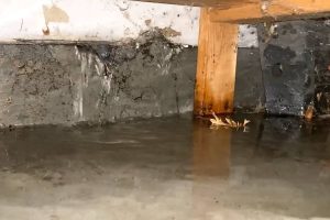 basement-flooding-quality-dry-basements-3